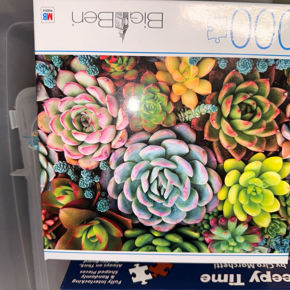 Puzzle: Bits and Pieces Succulent Puzzle